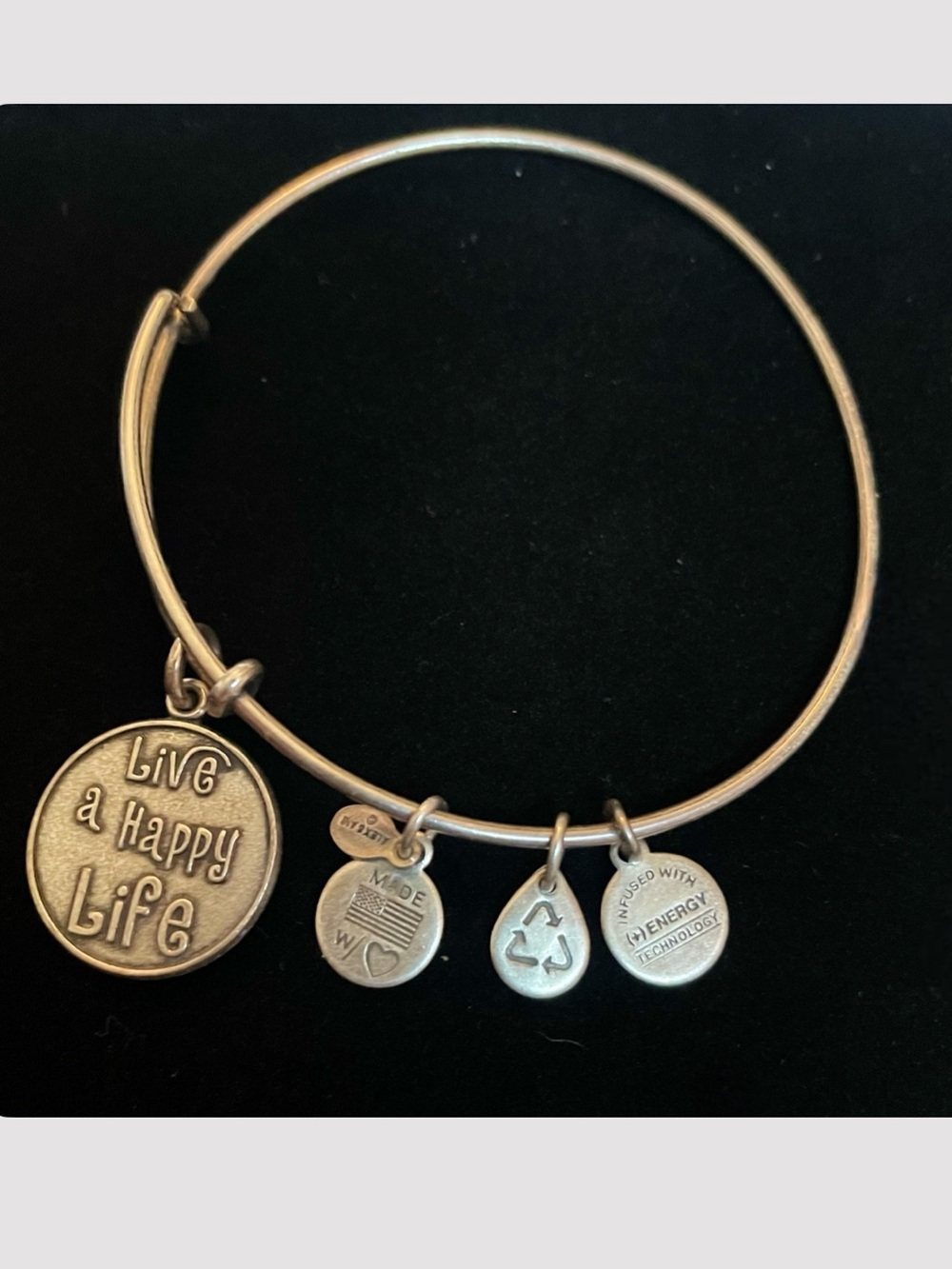Alex and Ani “Have a Happy Life” Charm Braceltte in Silver Tone
